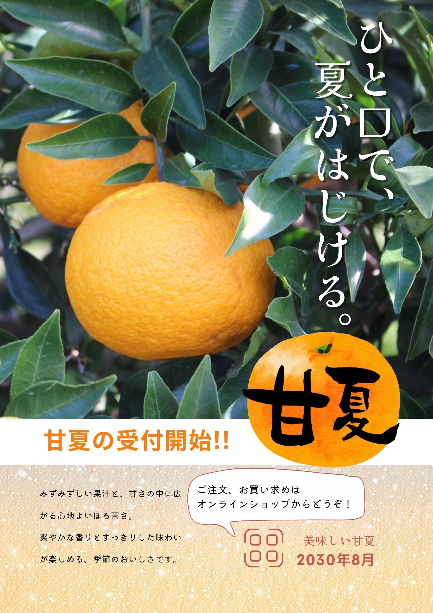 チラシラフの作例5